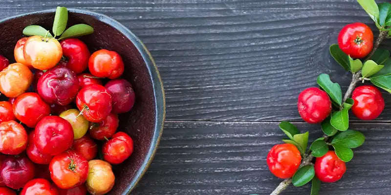 Acerola Amoseeds especialista en superalimentos Bio