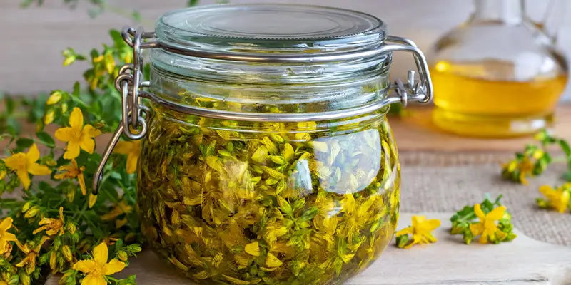 iperico amoseeds specialisti superalimenti bio