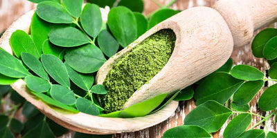 Moringa: Benefici, Rischi e Guida all'Utilizzo