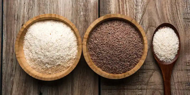 Psillio guida fitoterapia Amoseeds specialisti superalimenti bio