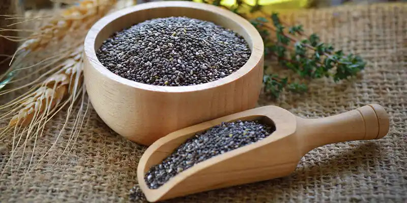 semi chia guida fitoterapia Amoseeds specialisti superalimenti bio