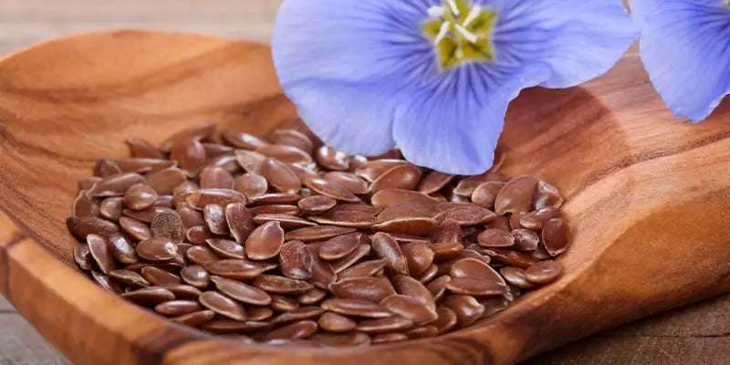 guida fitoterapia semi lino benefici guida rischi amoseeds specialisti superalimenti bio