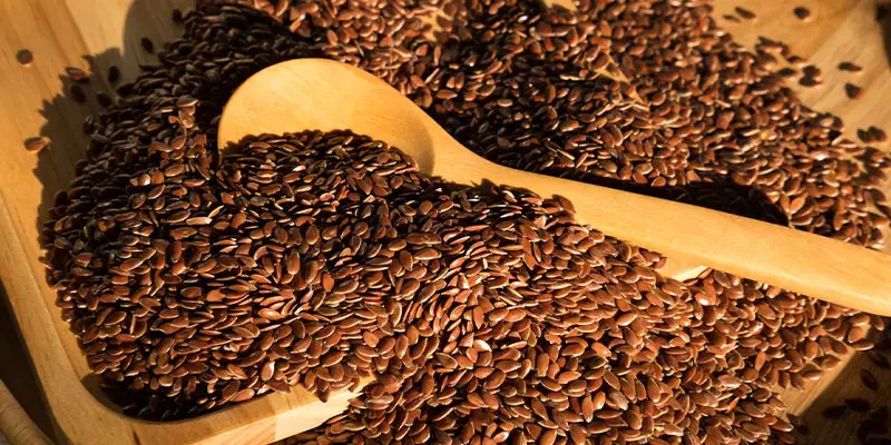 semi lino Bio amoseeds specialisti superalimenti bio