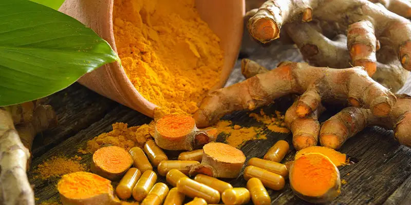 curcuma pericolosa fegato Amoseeds especialista superalimentos Bio 