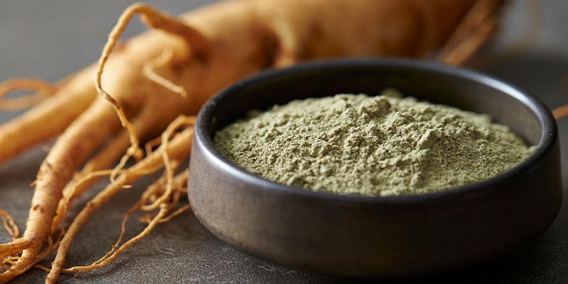 ginseng guida Amoseeds specialisti superalimenti bio