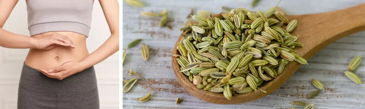 finocchio benefici utilizzo consigli amoseeds specialista dei superalimenti bio