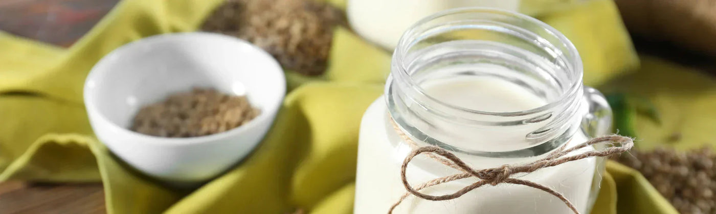 ricetta latte vegetale semi di canapa bio amoseeds specialisti dei superalimenti bio