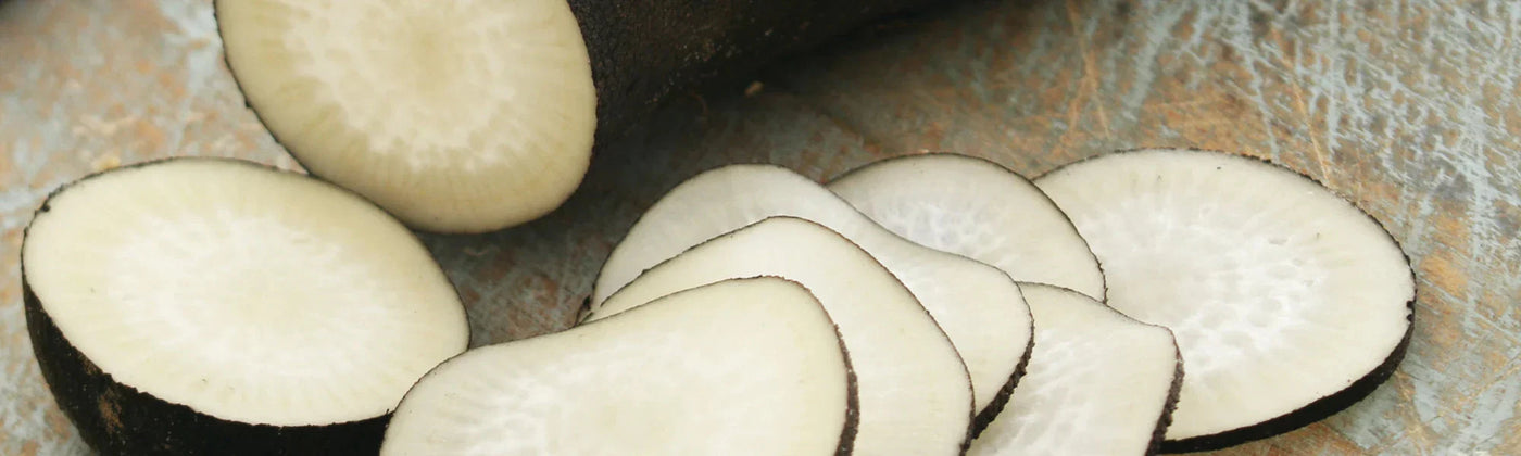 Benefici del ravanello nero  amoseeds, specialista in superalimenti biologici