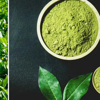 tè matcha Amoseeds, specialista in superalimenti bio