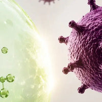 Punteggio ORAC Amoseeds specialisti superalimenti Bio