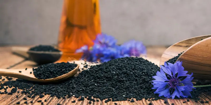 semi cumino nero bio amoseeds specialisti superalimenti bio