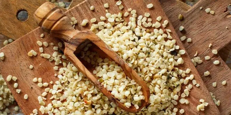 semi di canapa Amoseeds specialisti superalimenti Bio