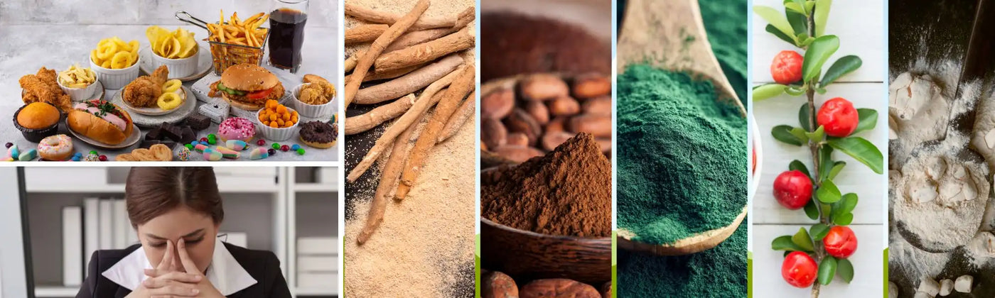 superalimenti stress Amoseeds specialisti superalimenti Bio