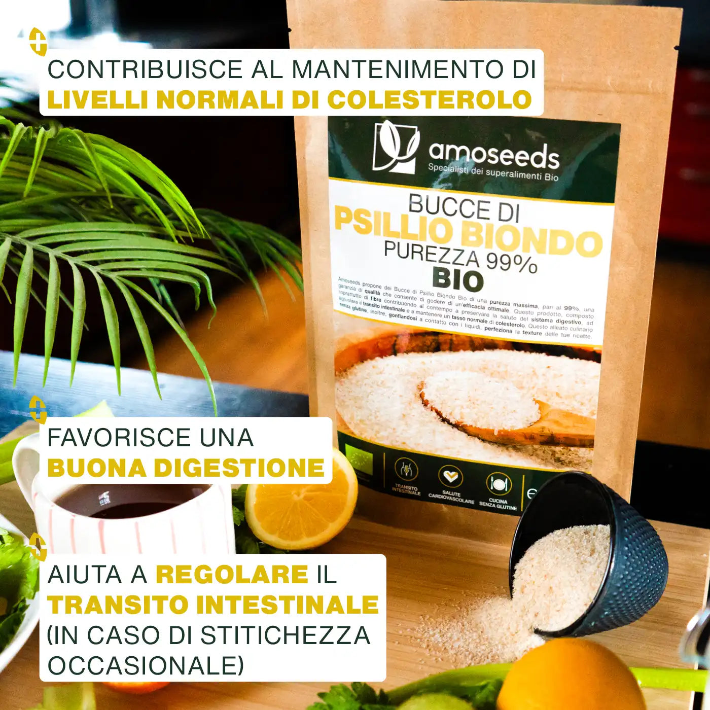 Virtu Bucce di Psillio Biondo Bio - amoseeds specialisti dei superalimenti bio