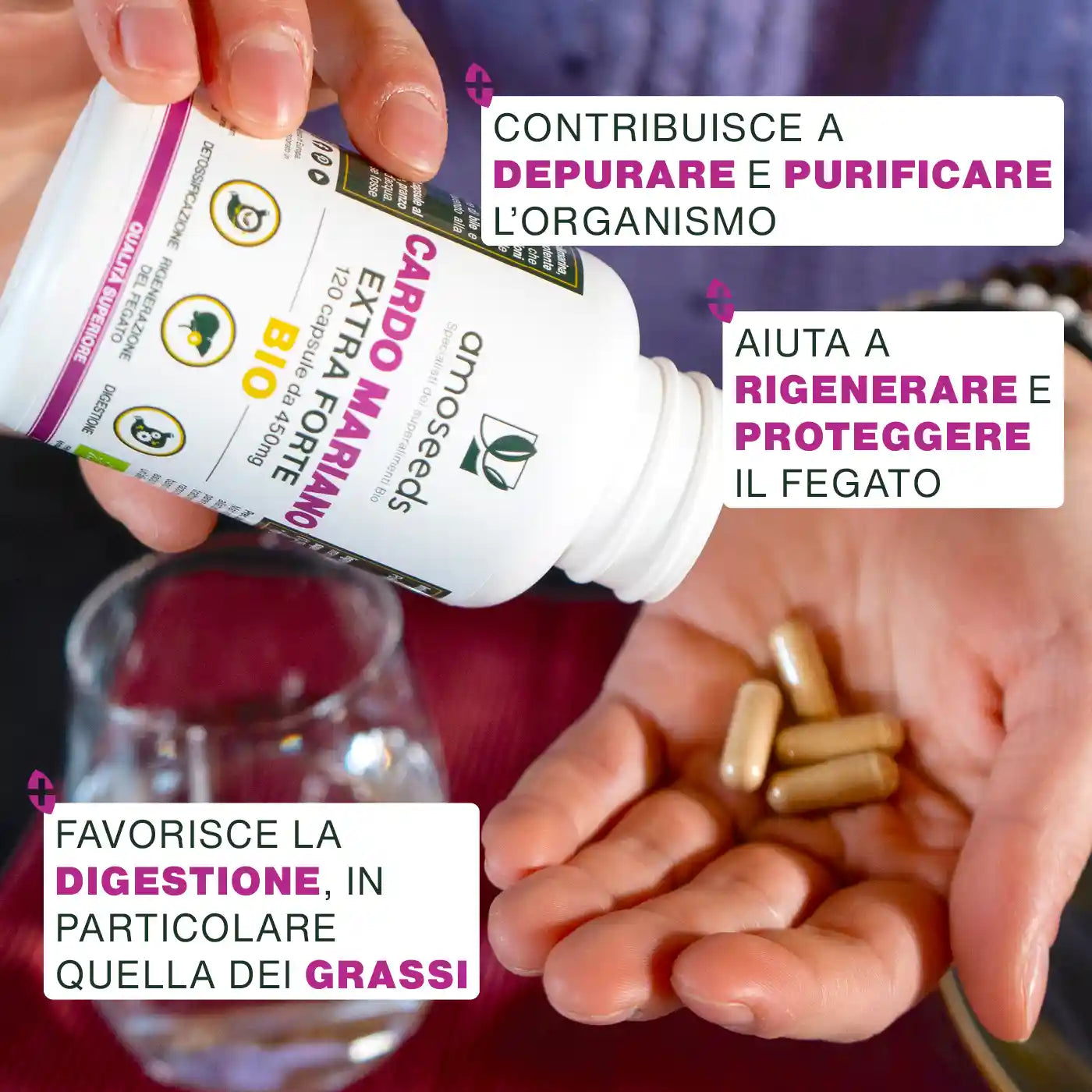 Virtu Cardo Mariano Bio - amoseeds specialisti dei superalimenti bio