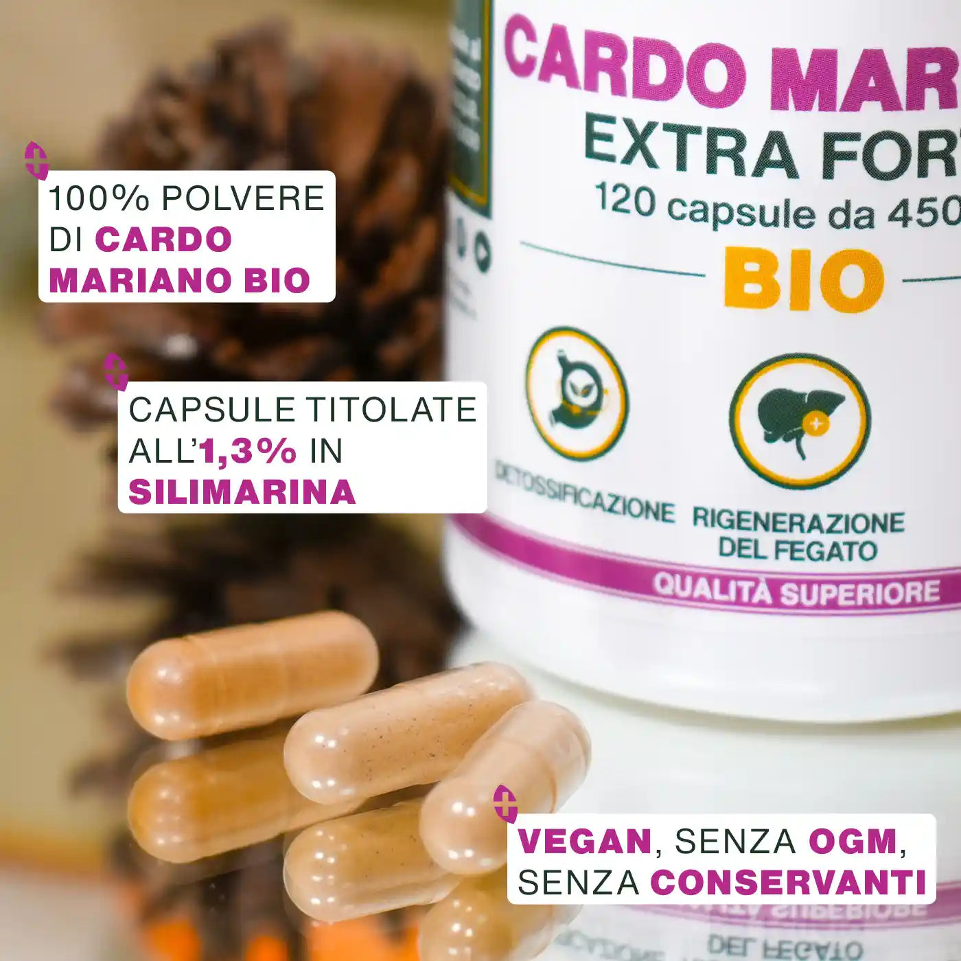Qualita Cardo Mariano Bio - amoseeds specialisti dei superalimenti bio