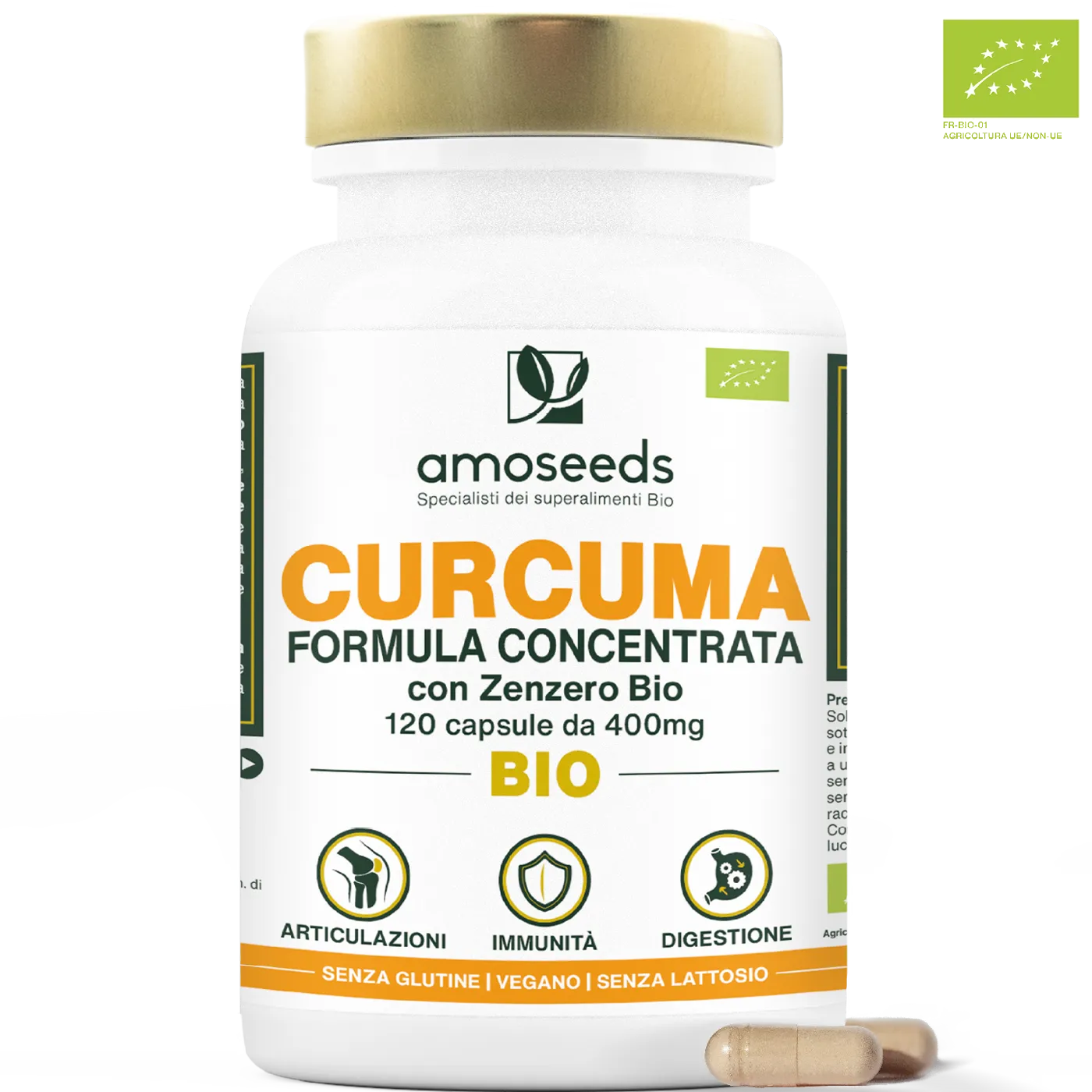 Curcuma Bio formula concentrata con zenzero - amoseeds specialisti dei superalimenti bio
