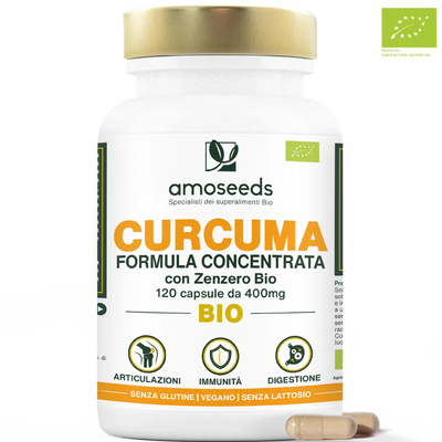 Curcuma Bio formula concentrata con zenzero - amoseeds specialisti dei superalimenti bio