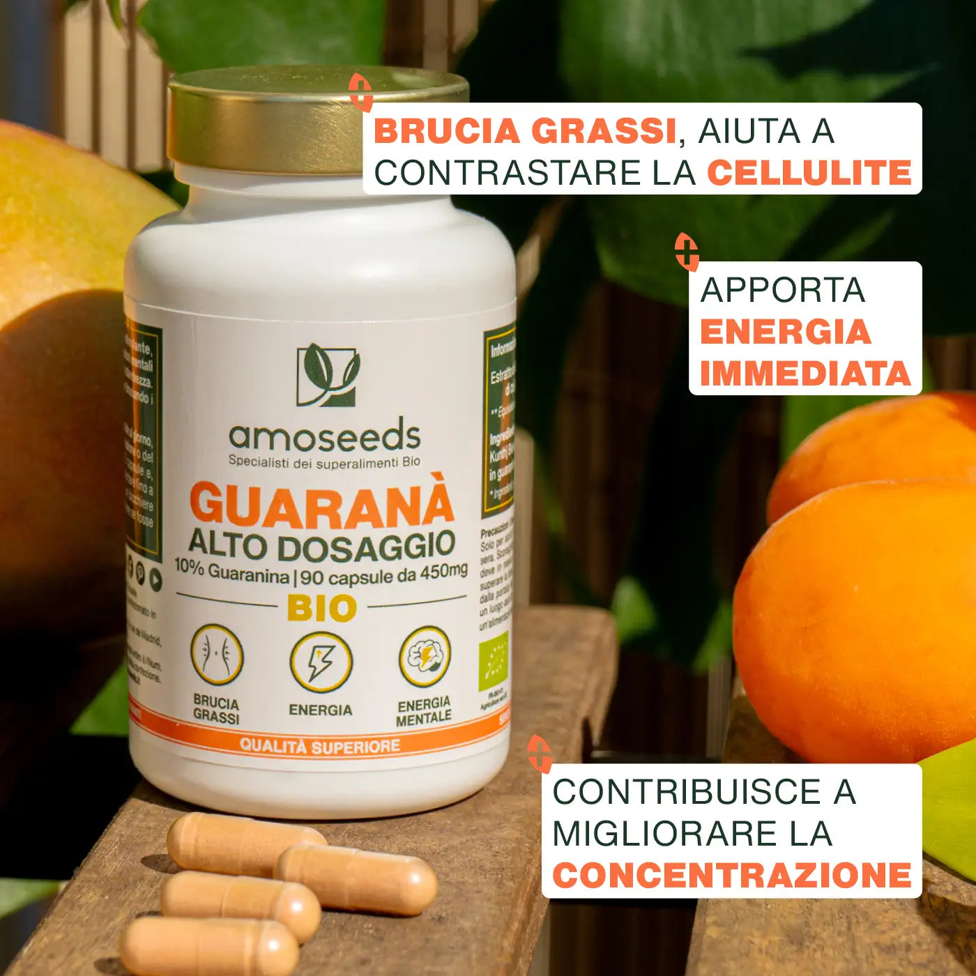 Benefici  Guarana Bio - capsule - amoseeds specialisti dei superalimenti bio