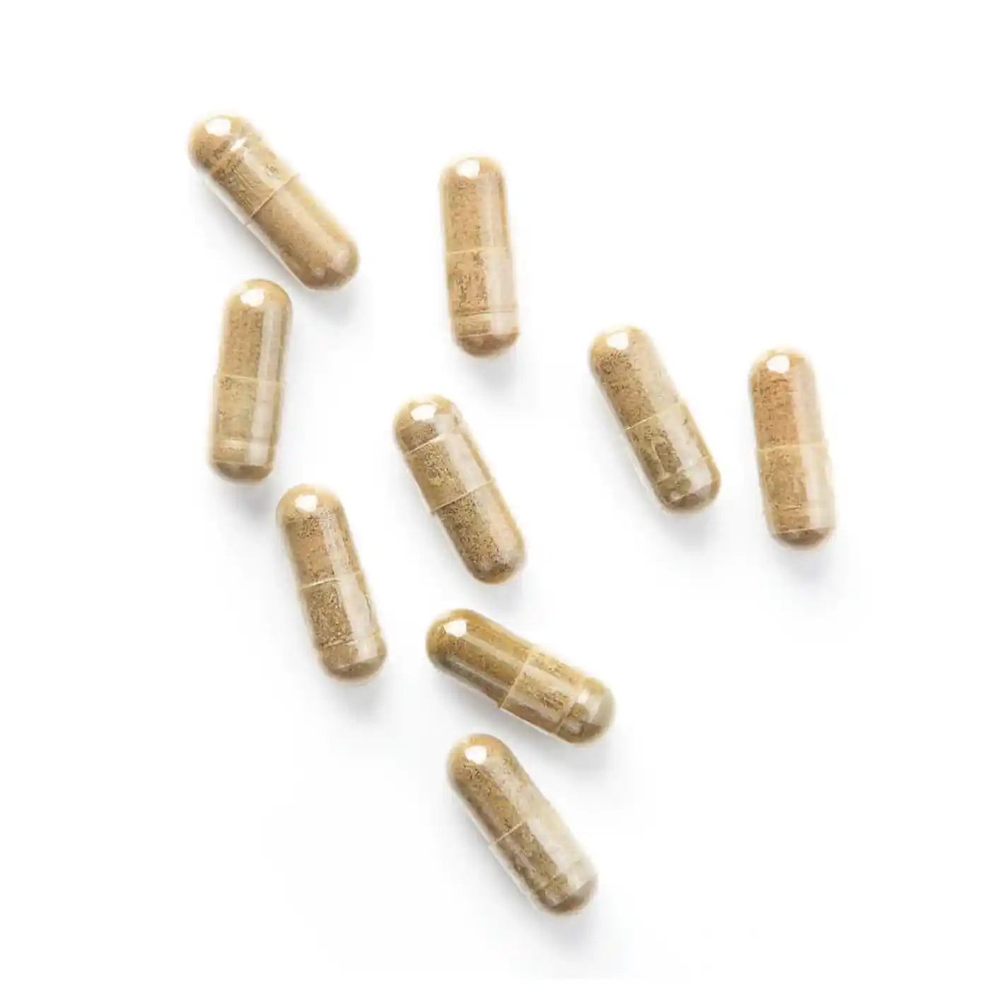 Hericium Bio, 37% polisaccaridi | 120 capsule