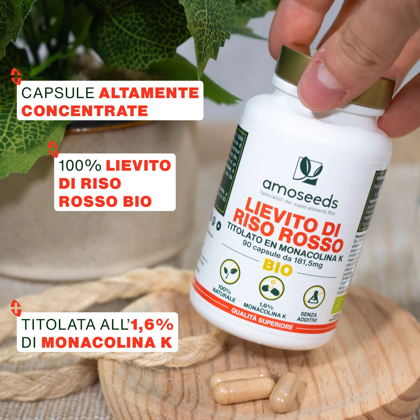 Benefici Lievito Riso Rosso Bio - amoseeds specialisti superalimenti bio