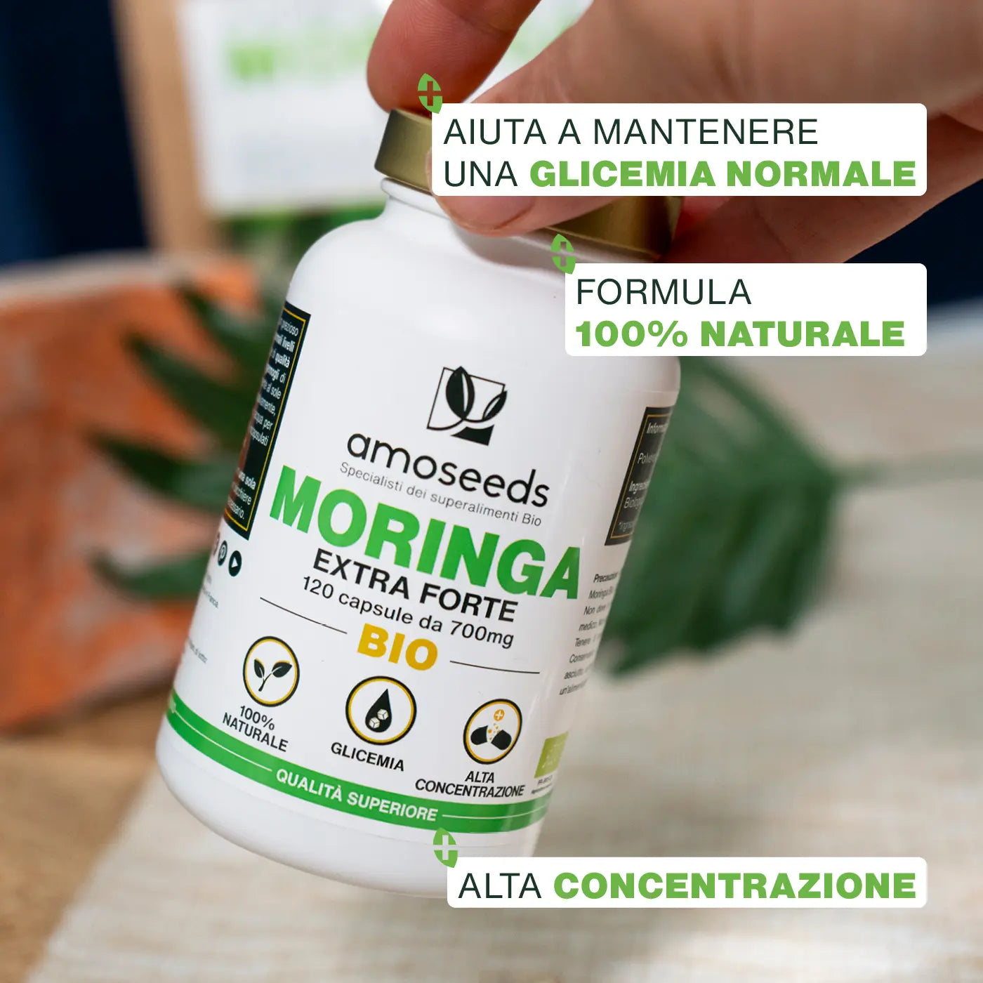 Benefici Moringa Bio - capsule - amoseeds specialisti dei superalimenti bio