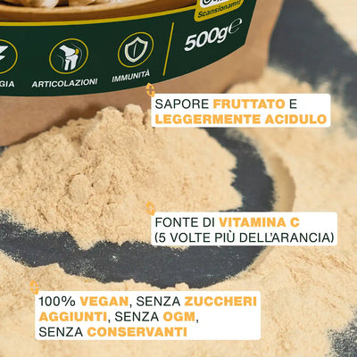 Qualita Polpa disidratata del frutto Baobab Bio - amoseeds specialisti dei superalimenti bio