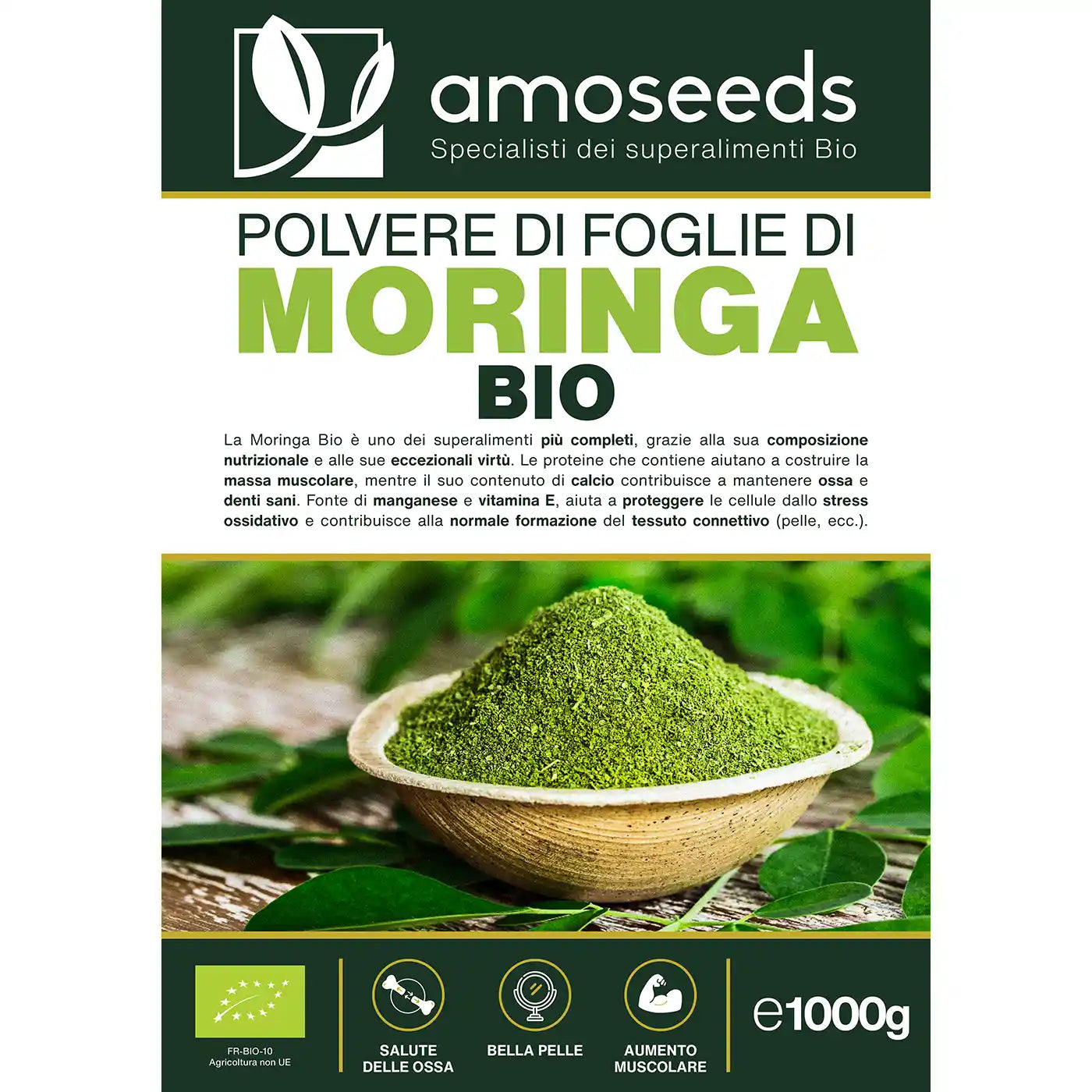 Polvere di foglie di Moringa Bio amoseeds specialisti dei superalimenti Bio