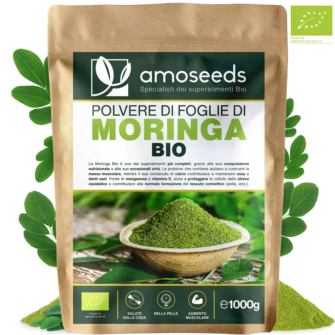 Polvere di foglie di Moringa Bio amoseeds specialisti dei superalimenti Bio