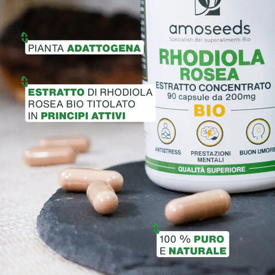 Qualita Rhodiola Rosea Bio - amoseeds specialisti dei superalimenti bio
