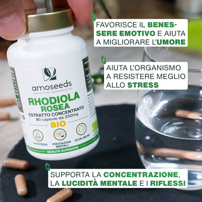 Benefici Rhodiola Rosea Bio - amoseeds specialisti dei superalimenti bio