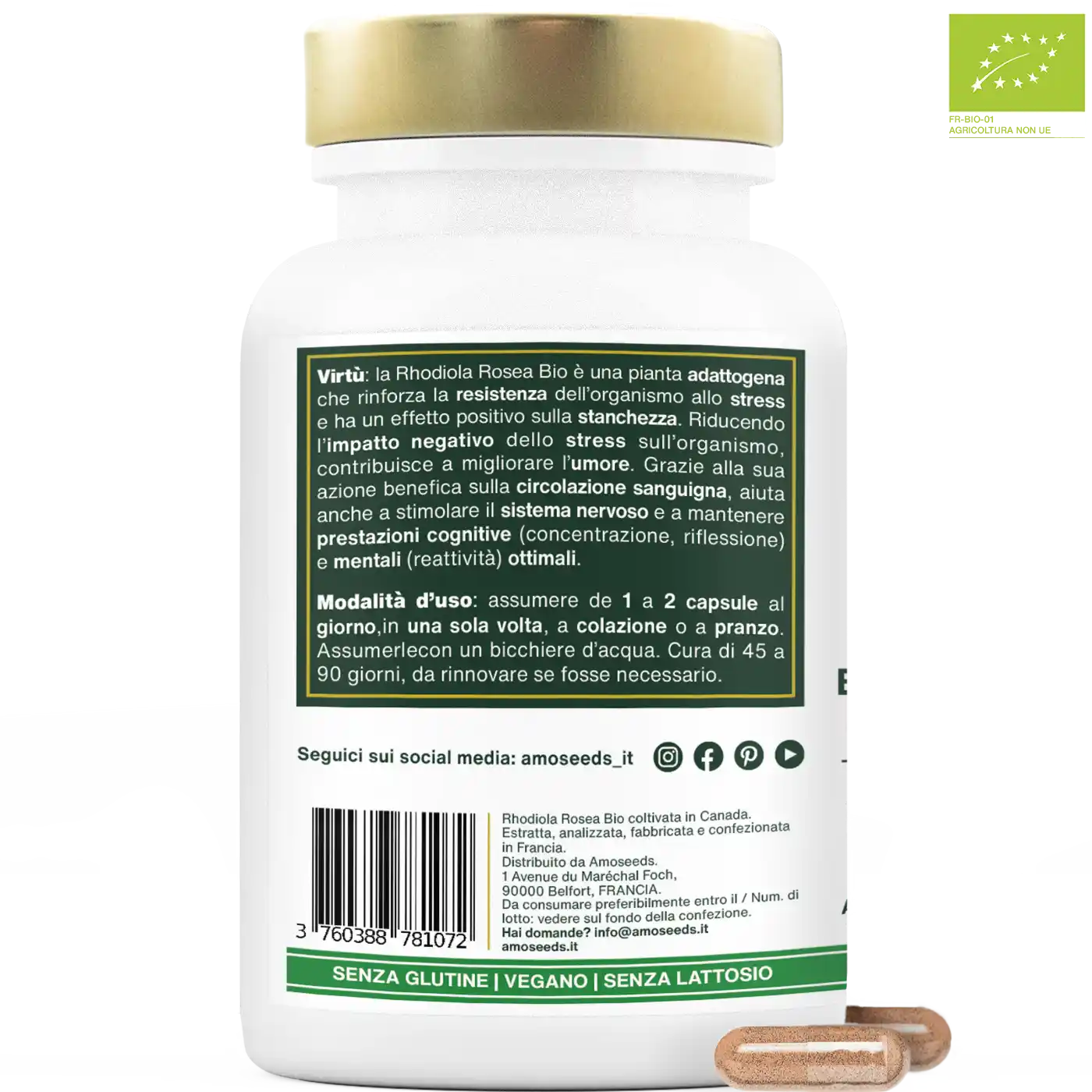 Rhodiola Rosea Bio, Estratto Concentrato | 90 capsule