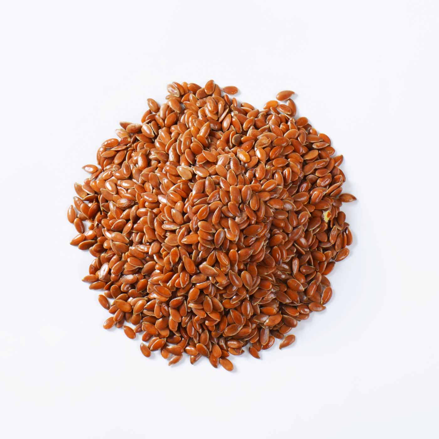 Semi di Lino Marrone bio amoseeds specialisti dei superalimenti bio,