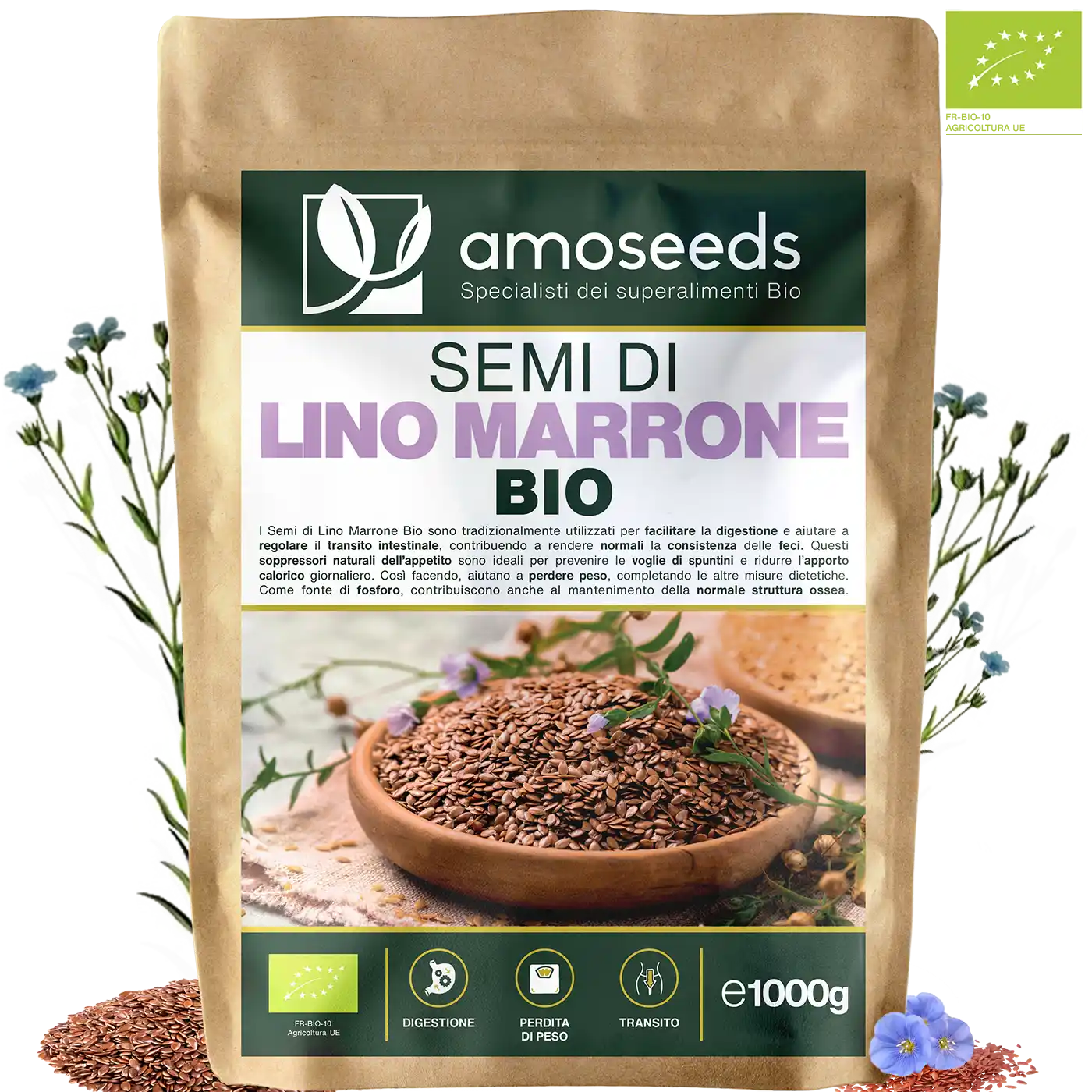 Semi di Lino Marrone bio amoseeds specialisti dei superalimenti bio,