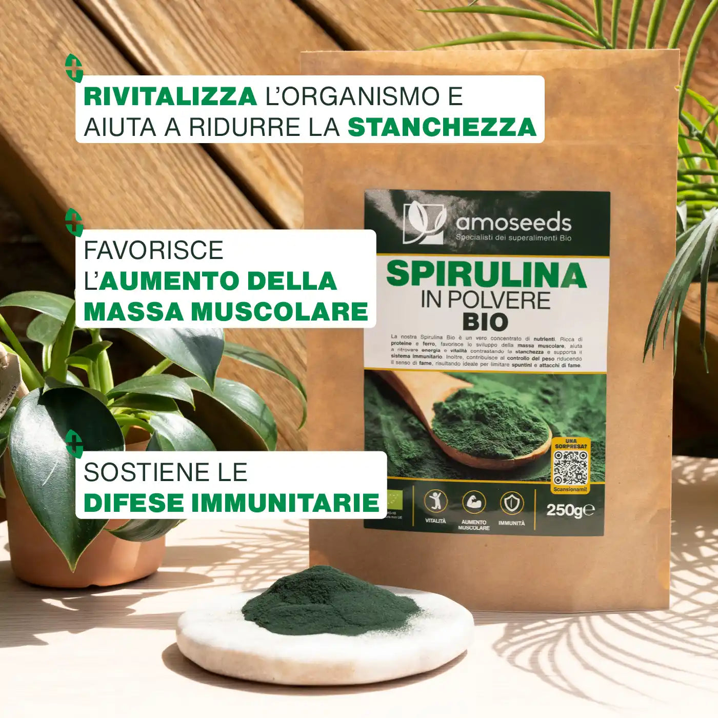 Benefici Spirulina in Polvere Bio - amoseeds specialisti dei superalimenti bio
