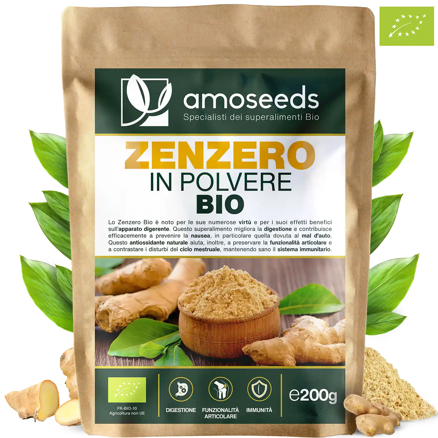 Zenzero in polvere Bio amoseeds specialisti dei superalimenti Bio,